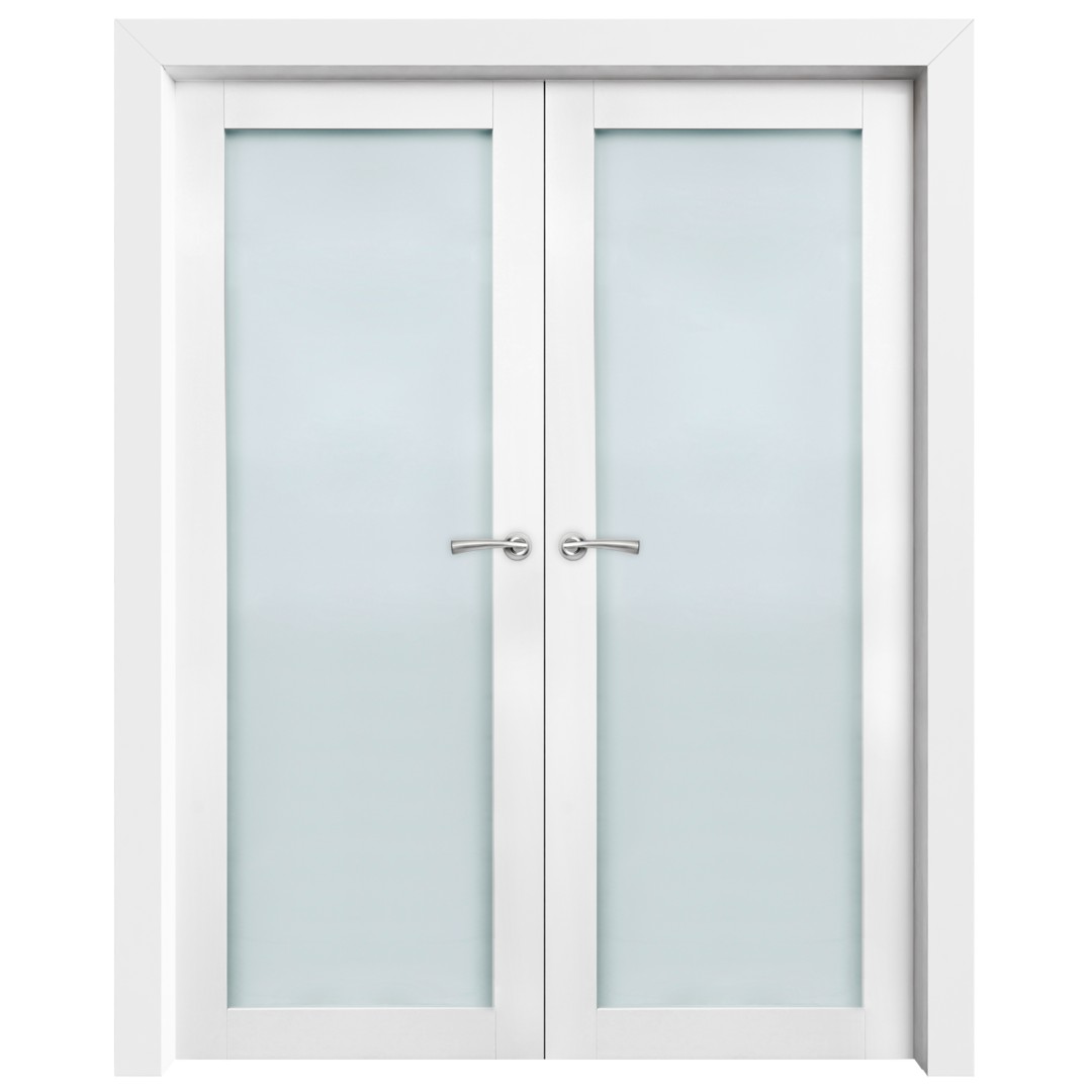 Swinging Modern Contemporary Glass Double Interior Doors